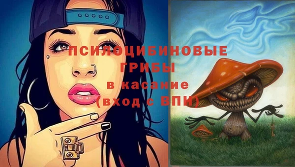 хмурый Куйбышев
