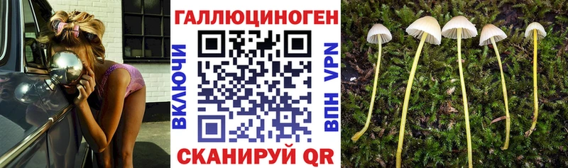 Галлюциногенные грибы мухоморы  Купить  Арамиль 