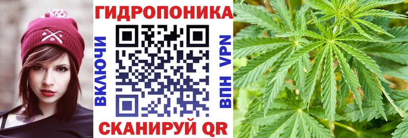 Купить где  Арамиль  Шишки марихуана Amnesia 